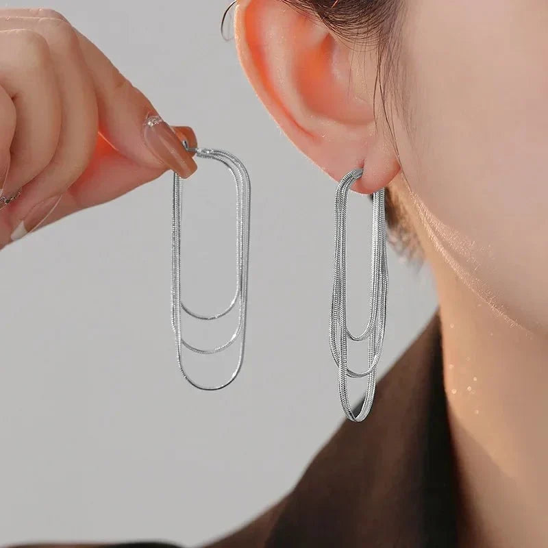 Dainty Tassel Dangle Chain Earrings