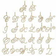 Luxe Cursive Diamond Accented Initial Necklace